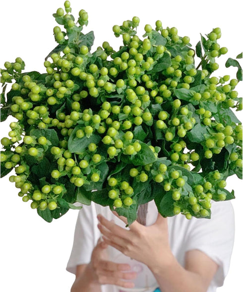 19 Green Bean Fresh Cut Flower Bouquet Prime Delivery Gifts for Birthday