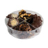Box of Caramel Chocolate Covered Nuts - Assorted Variety of Chocolate Nuts, Pecan Patties, Almond, Cashew Clusters