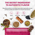 Moji Masala Indian Spice Kits, Rogan Josh Masala Blend, Authentic Indian Seasoning Sets, 2-Packs Serve 10-12.
