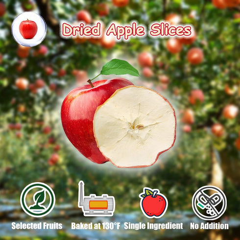 Slices-250g/8.8oz, KachiKachi Dried Apple Natural Dehydrated Apples Chips | No Sugar Added | Middle Pieces | Not