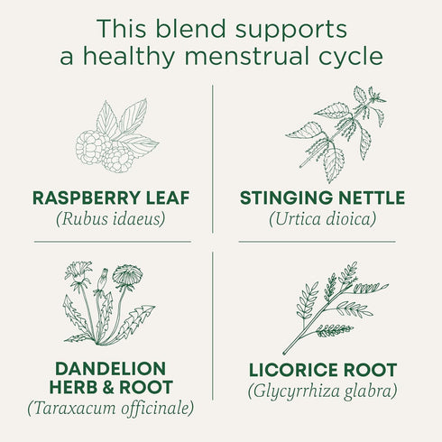 Spearmint,16 Traditional Medicinals Tea, Organic Healthy Cycle, Supports Healthy Menstrual Cycles, Includes Tea Bags