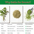 Niufuiyova Freeze-Dried Rosemary Leaves, Vibrant and Lush, for Garnish Food/Spice Oil Making/Herbal Tea (Parsley