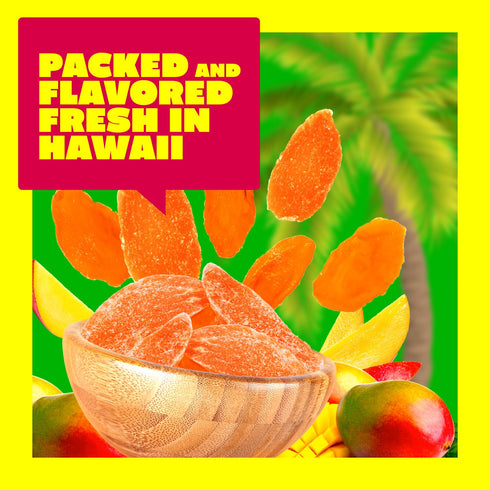 8 Dried Mango Slices - Preserved Tropical Fruit - Healthy, Vegan, and Low-Sugar - Healthy Non-GMO Gluten Free Snack