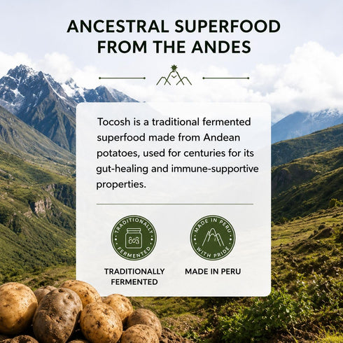 SEED (7oz) 100% Tocosh - Natural Fermented Potato Pulp Powder for Digestive Health, Gut Support & Nutrient Absorption