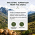 SEED (7oz) 100% Tocosh - Natural Fermented Potato Pulp Powder for Digestive Health, Gut Support & Nutrient Absorption