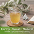 40 FullChea - Soursop Leaves Tea Bags, Teabags - Premium Soursop Graviola Leaves - Hojas De Guanabana Tea - Non-GMO