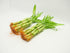 Athena's Garden B-SS04 4" 4" Bamboo Stalks with Shoots, Green