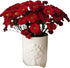 20 Fresh Red Daisy Cut Flowers | Florist-Selected Stems | Ideal for Bouquets, Birthdays Home Dcor | Bright Vibrant