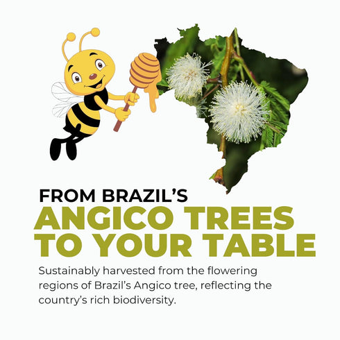 100% 8.47 oz K&A HONEY Angico Blossom | USDA Certified Raw Organic Honey | Pure Brazilian Honey | Rich in Antioxidants