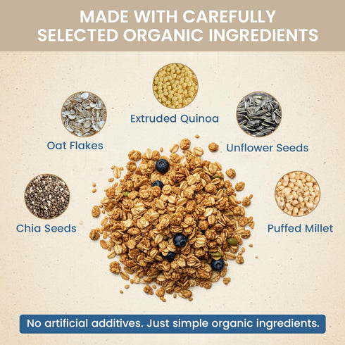 GINA Bio GINA Organic Granola Classic Vegan with toasted oats & seeds- Crunchy granola adds texture & flavor