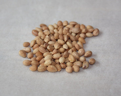 Whole Mahlepi Seeds Mahleb Mahlab Traditional Spice for Pastry Making, 50gr