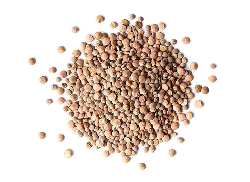 1 Food to Live - Whole Red Lentils, Pound - Dry Raw Beans, Sproutable, Vegan, Kosher, Bulk. Easy to Cook. Good Source