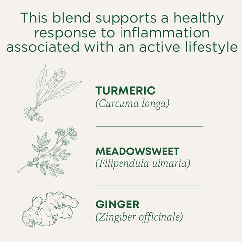 Inflammation,16 Count (Pack 6) Traditional Medicinals Organic Turmeric with Meadowsweet & Ginger Herbal Tea, Supports A
