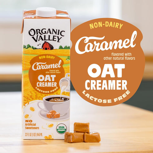 32 ORGANIC VALLEY Organic Caramel Oat Creamer, FZ