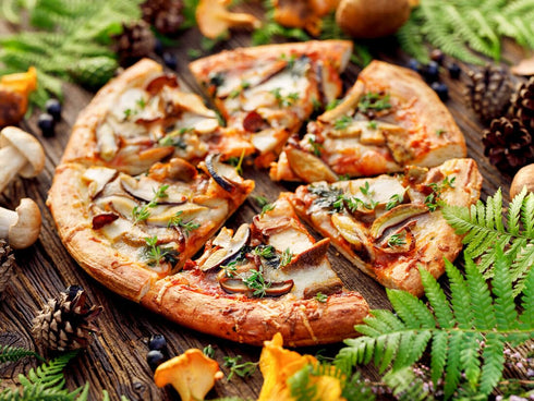 (8Oz) VIGOROUS MOUNTAINS Organic Shiitake Mushrooms Sliced, Great Size Fresh Texture Rehydrate Quickly, Dried Shiitake