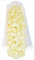 2 Lbs Sarah's Candy Factory Premium Coating Melting Wafers White Chocolate Baking in Bag, Kosher and Gluten Free