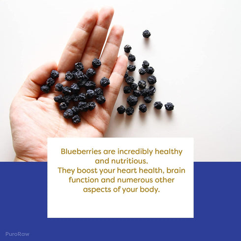 PuroRaw 2 lbs. 2 Dried Blueberries No Sugar Added, Blue Berries Fruit, Dehydrated Blueberries Fresh Dried Blueberries