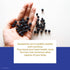 PuroRaw 2 lbs. 2 Dried Blueberries No Sugar Added, Blue Berries Fruit, Dehydrated Blueberries Fresh Dried Blueberries