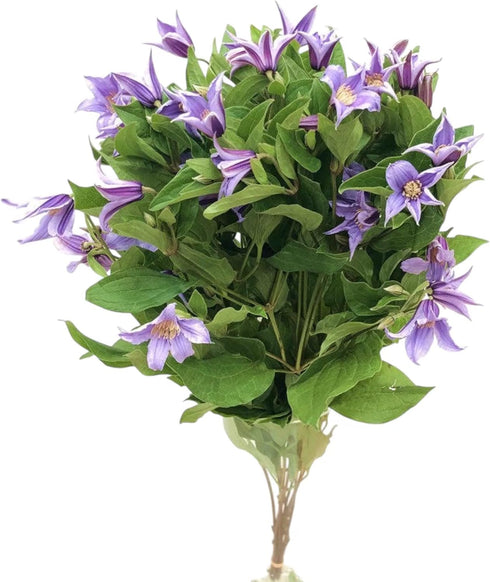 Next day delivery 10 Fresh Lron Wire Lotus Mixed Bouquets with Budding