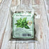 Generic 100% Natural,1.76oz (50g.) Pack. Thai Basil Leaves, Premium Quality, Authentic Thai Herb for Cooking, Fragrant