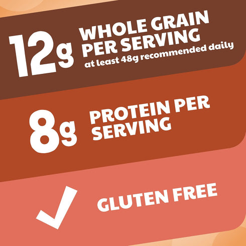 Cereal,Cinnamon,8g Size,15 oz,(Pack 2) Cheerios Protein Protein,Family