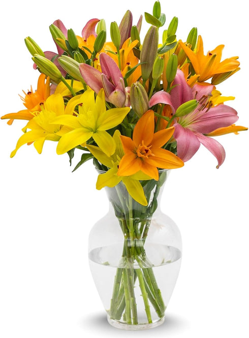 Stargazer Barn 10 Stem Sunrise Royal Lily Bouquet Mothers Day Flowers for