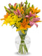 Stargazer Barn 10 Stem Sunrise Royal Lily Bouquet Mothers Day Flowers for
