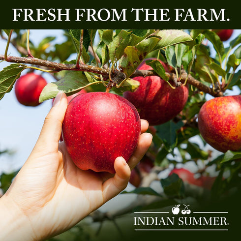 Summer Packed 4 4 Indian Single Serve Cinnamon Apple Sauce, Individually Applesauces, Single Cups, Ounces Each