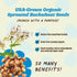 3 Pack) Lil Bucks Sprouted Regeneratively Grown Buckwheat Seeds Paleo Cereal, Gluten-Free Granola, High in Protein, Low