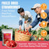 Luxsavia 3.52OZ/100g 50-55 Premium Whole Freeze Dried Strawberries per bag,Whole Big Natural Dried Strawberries No