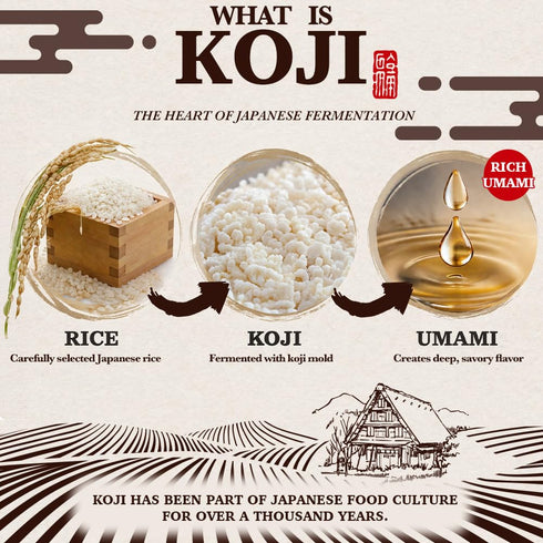 Store 100% 300g (10.58oz) Fermented Rice Koji Paste (Shio Koji) Japanese Rice, Natural Meat Tenderizer & Umami