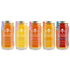Bee Harmony Honey 5 Pack Variety Pack, Contains 5 jars, 12 ounces