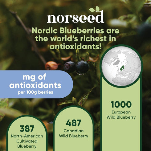 5 Wild Blueberry Powder Organic Ounce Bag USDA Certified & Lab Tested - Freeze Dried Blueberries No Added Sugar