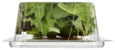 Little Leaf Farms 4 Crispy Baby Red & Green Leaf Lettuce, Ounce