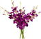 Generic Fresh Cut Orchids Flowers - Purple Orchids Bouquet - PRIME QUALITY -