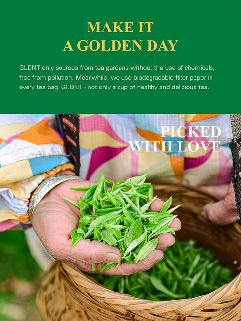 16 GLDNT Organic Jasmine Green Tea, Organic Jasmine Green Tea Loose leaf with Delightful Aroma, Delicate and smooth