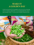 16 GLDNT Organic Jasmine Green Tea, Organic Jasmine Green Tea Loose leaf with Delightful Aroma, Delicate and smooth