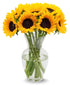 Stargazer Barn 10 Stem Sunflower Bouquet Mothers Day Flowers for Mom Fresh