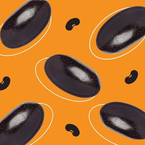 2 Pack Black Licorice Jelly Beans - Pound - Old Fashioned Candy - Bulk Jelly Beans for Buffets, Gift Baskets