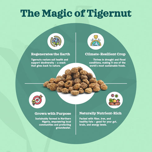 8.5 oz, (3 Pack, Elari Tigernut Root Cereal, Gluten-Free, No Added Sugar Original)