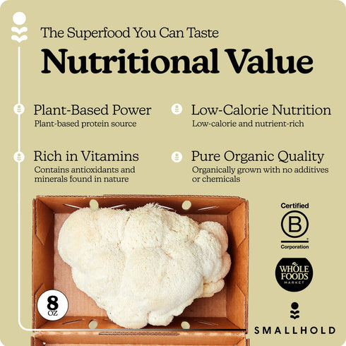 Smallhold 8oz Fresh Organic Lions Mane Mushroom | Locally Grown Gourmet Mushroom | Ready to Cook, Nutrient-Dense