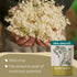 (10oz.) Elderflower Tea - Organic Dried Elderflowers - Elder Flowers Dried Herbs, Te de Sauco, Flor De Sauco Organico