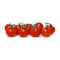 Sunset Campari Tomatoes, 32 OZ