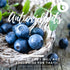 Organic Wild Blueberry Powder - High in Anthocyanins & Polyphenols, from Freeze Dried Blueberries, 2.65oz
