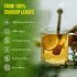 150 100% FreshDrinkUS, Premium Soursop Graviola Leaf Tea Bags, Natural and Pure, Hand-made, Made With Natural