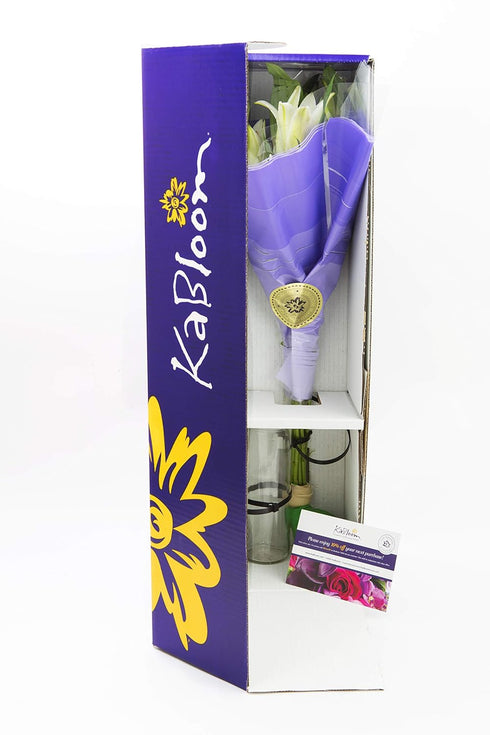KaBloom Flowers - Pure Love Bouquet of Fresh White Lilies with Vase - Gift for Birthday, Sympathy, Anniversary,Thank