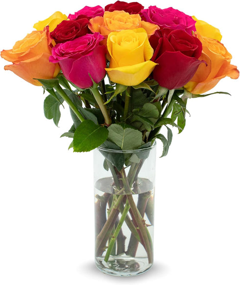 Stargazer Barn 12 Stem Premium Rainbow Roses Bouquet Mothers Day Flowers for
