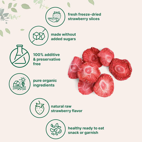6.4oz 100% Micro Ingredients Organic Strawberries Sliced, | Natural Fruit | Freeze Dried Strawberry Source | No Sugar