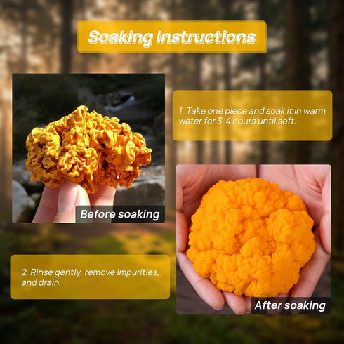 4oz) Dried Golden Jelly Fungus, Wild Mushrooms, Gift of nature, Delicious treasures from the mountains, Pure natural