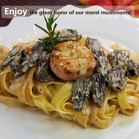 1.5 oz VIGOROUS MOUNTAINS Organic Dried Morel Mushrooms for Cooking, Intact Shapes, Short Stems with Rich Aroma Premium
